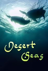 Desert Seas