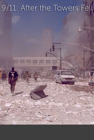 9/11: After the Towers Fell