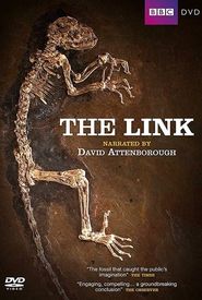 Uncovering Our Earliest Ancestor: The Link