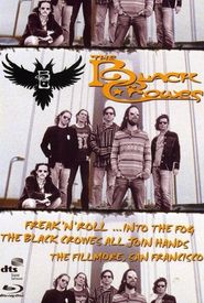 The Black Crowes: Freak 'N' Roll... Into the Fog