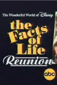 The Wonderful World of Disney