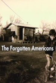 The Forgotten Americans