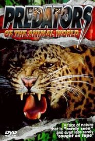 Predators of the Animal World