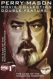 Perry Mason: The Case of the Maligned Mobster