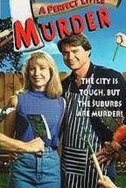 A Quiet Little Neighborhood, a Perfect Little Murder