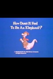 How Does It Feel to Be an Elephant?