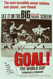 Goal! The World Cup