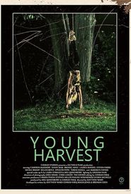 Young Harvest