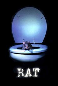 Rat