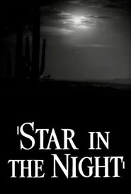 Star in the Night