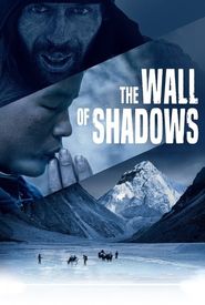 The Wall of Shadows