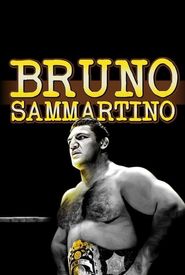 Bruno Sammartino