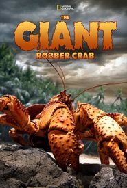 The Giant Robber Crab