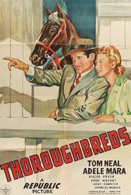 Thoroughbreds