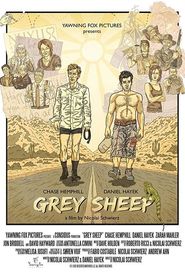Grey Sheep