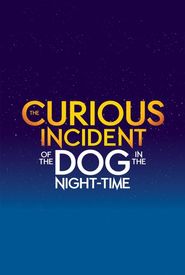 The Curious Incident of the Dog in the Night-Time