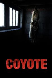 Coyote