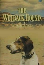 The Wetback Hound