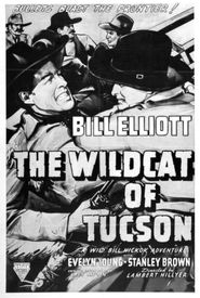 The Wildcat of Tucson
