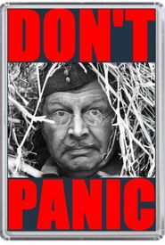 Don't Panic! The Dad's Army Story