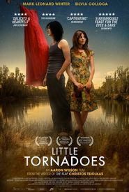 Little Tornadoes
