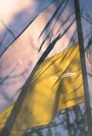 Despair and Defiance: The Battle for Ukraine