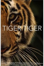 Tiger Tiger
