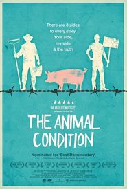 The Animal Condition
