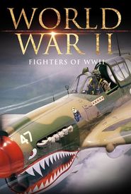 Fighters of WWII