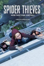 Spider Thieves