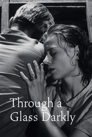 Through a Glass Darkly