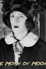 The Moth of Moonbi