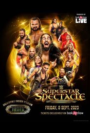 WWE Superstar Spectacle