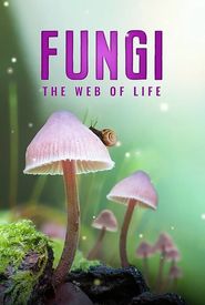 Fungi: The Web of Life