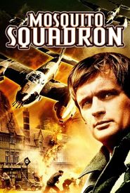 Mosquito Squadron