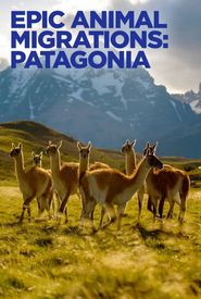 Epic Animal Migrations: Patagonia