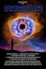 Contemplations: On the Psychedelic Experience