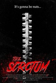 The Scrotum