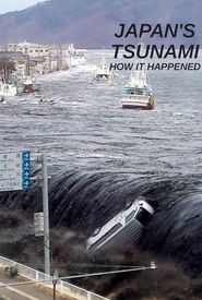 Japan Tsunami: How It Happened