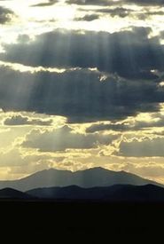 In the Light of Reverence