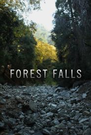 Forest Falls