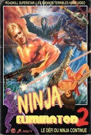 Ninja Eliminator 2: Quest of the Magic Ninja Crystal