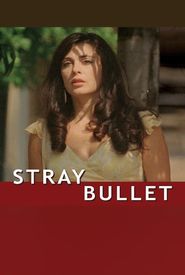 Stray Bullet