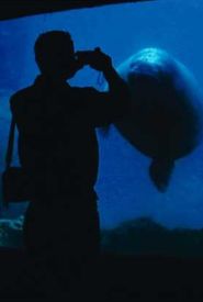 The Aquarium
