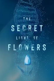 The Secret Light of Flowers