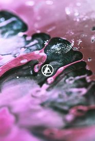 Linkin Park: From Zero (Live Stream)