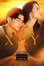 X & Y