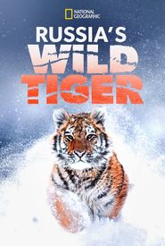 Big Cat Week