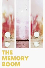 The Memory Boom