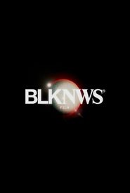 BLKNWS: Terms & Conditions